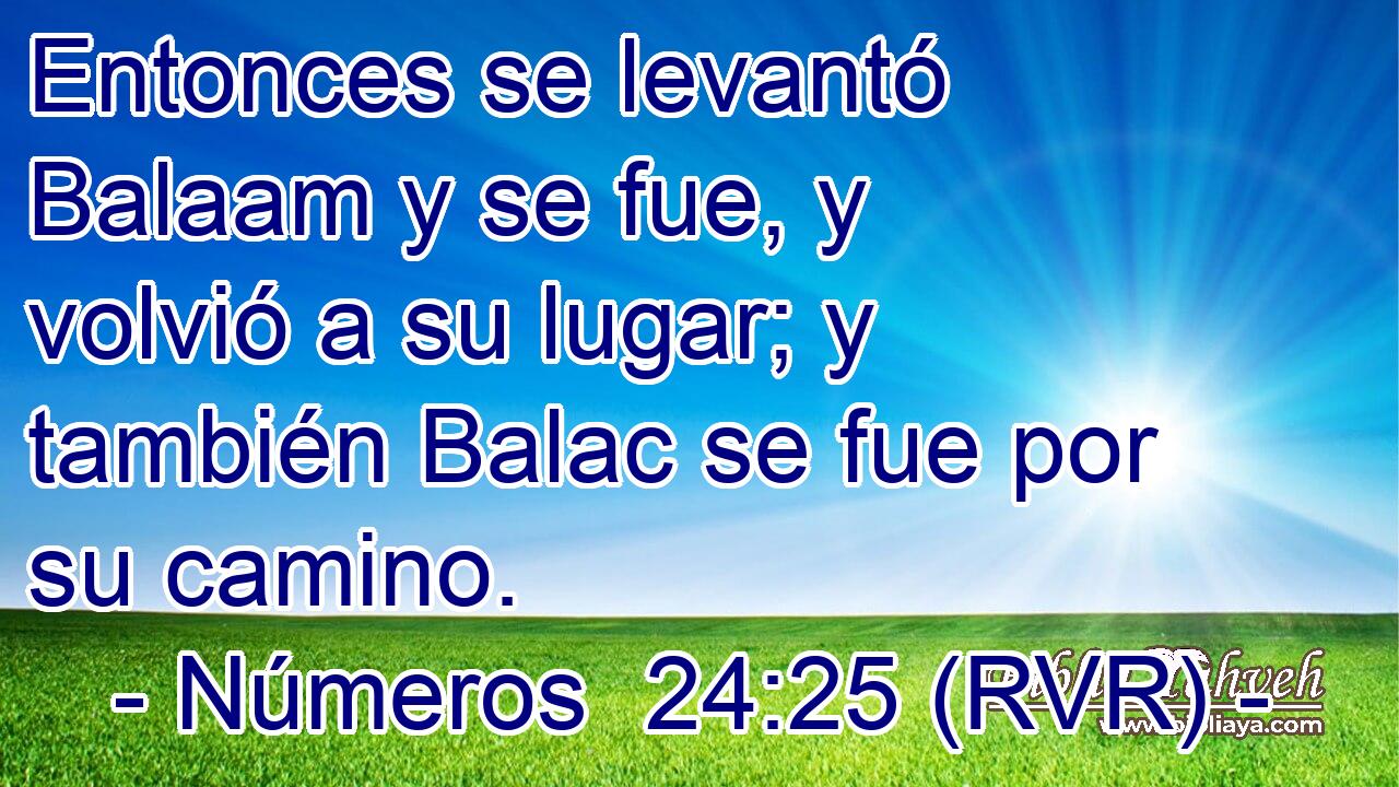 Entonces se levantó Balaam y se fue, y volvió a su lugar; y también Balac se fue por su camino.