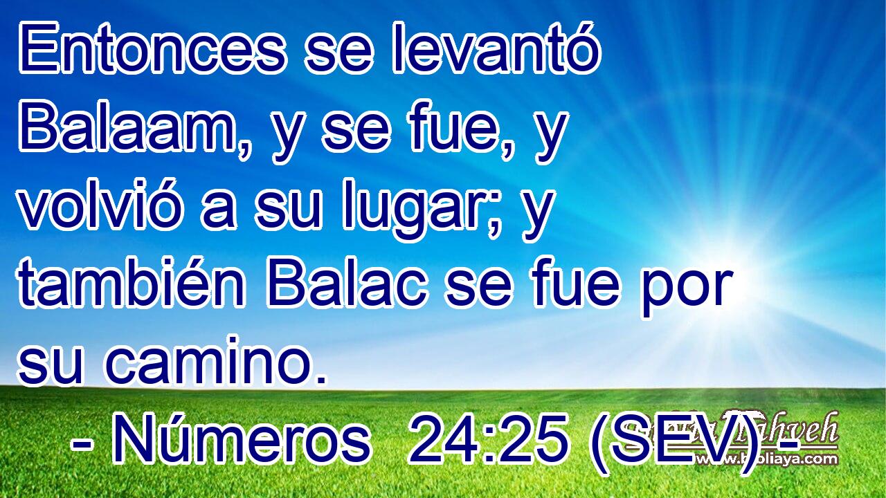 Entonces se levantó Balaam, y se fue, y volvió a su lugar; y también Balac se fue por su camino.