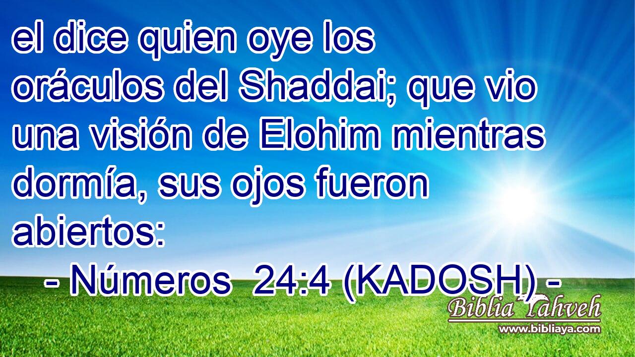  el dice quien oye los oráculos del Shaddai; que vio una visión de Elohim mientras dormía, sus ojos fueron abiertos: 