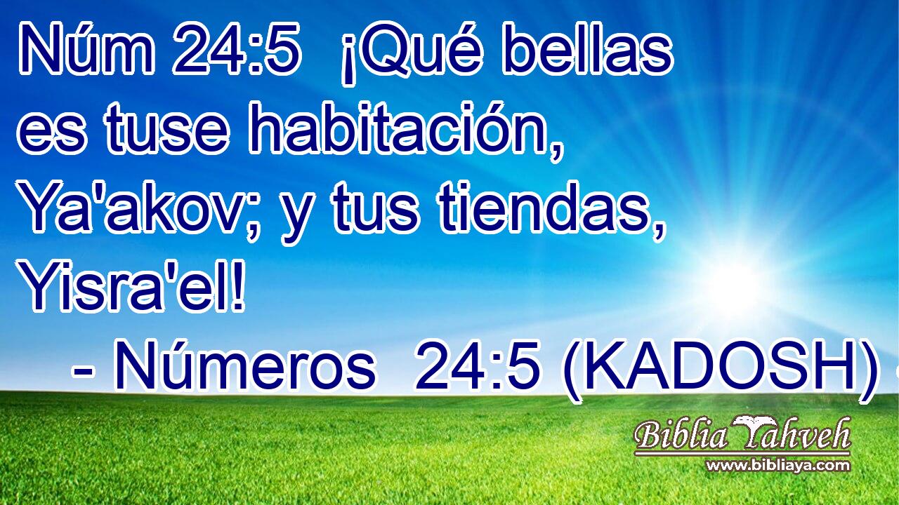  ¡Qué bellas es tuse habitación, Ya'akov; y tus tiendas, Yisra'el! 