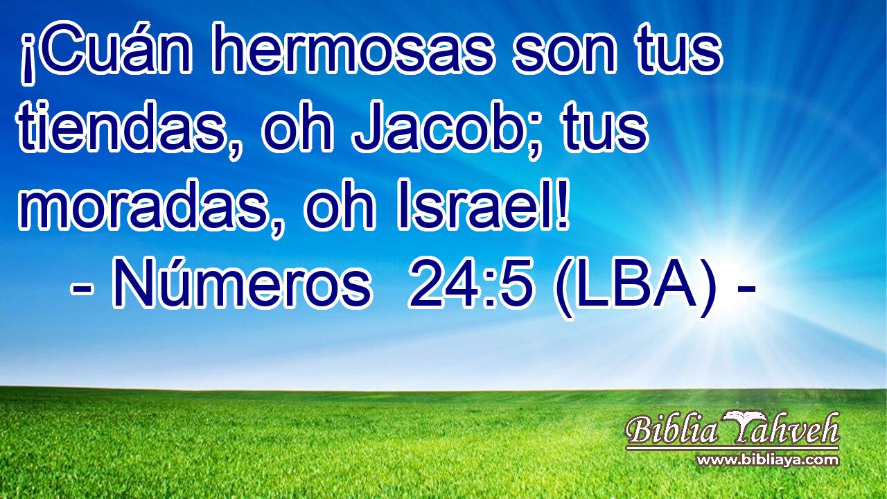 ¡Cuán hermosas son tus tiendas, oh Jacob; tus moradas, oh Israel!