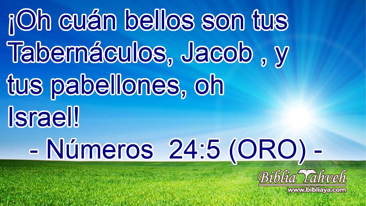  ¡Oh cuán bellos son tus Tabernáculos, Jacob , y tus pabellones, oh Israel! 