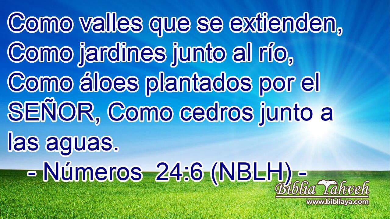  Como valles que se extienden, Como jardines junto al río, Como áloes plantados por el SEÑOR, Como cedros junto a las aguas. 