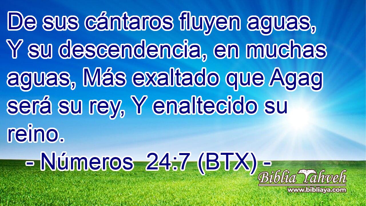 De sus cántaros fluyen aguas, Y su descendencia, en muchas aguas, Más exaltado que Agag será su rey, Y enaltecido su reino.