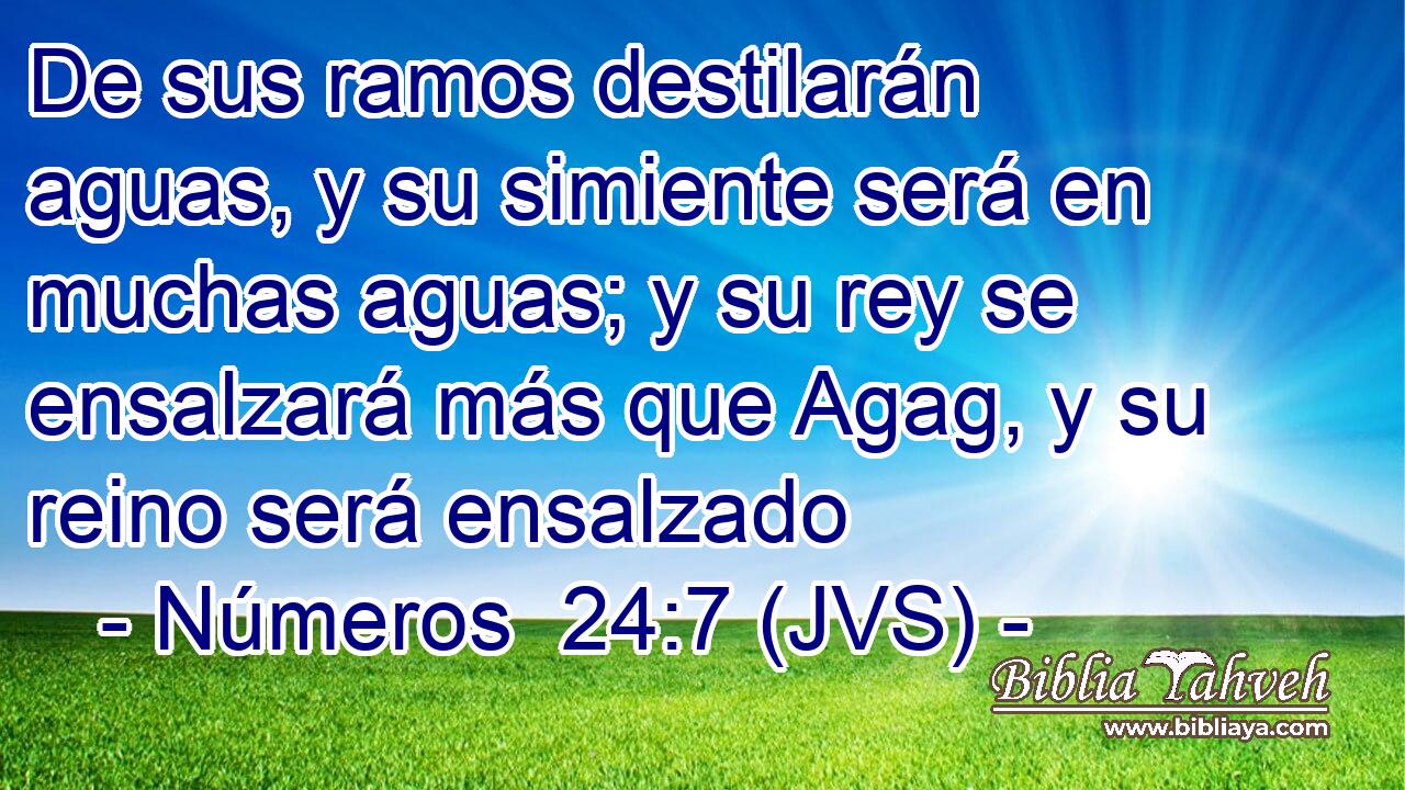 De sus ramos destilarán aguas, y su simiente será en muchas aguas; y su rey se ensalzará más que Agag, y su reino será ensalzado