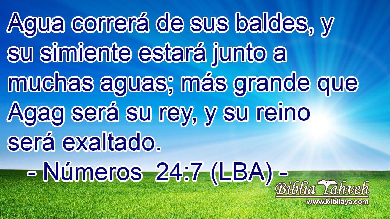 Agua correrá de sus baldes, y su simiente estará junto a muchas aguas; más grande que Agag será su rey, y su reino será exaltado.