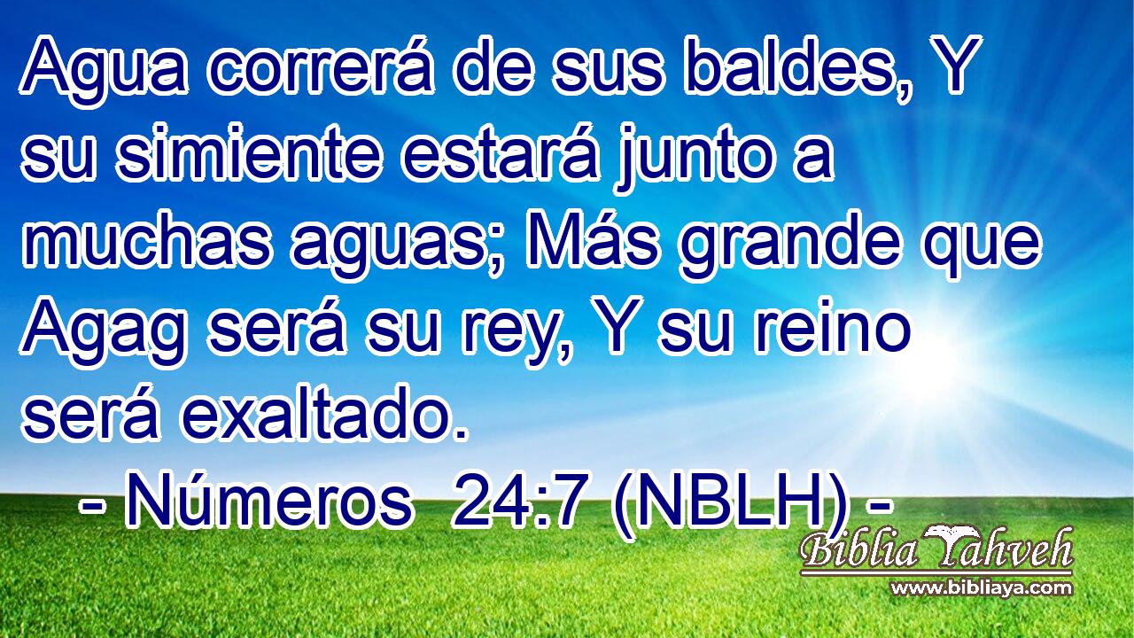  Agua correrá de sus baldes, Y su simiente estará junto a muchas aguas; Más grande que Agag será su rey, Y su reino será exaltado. 