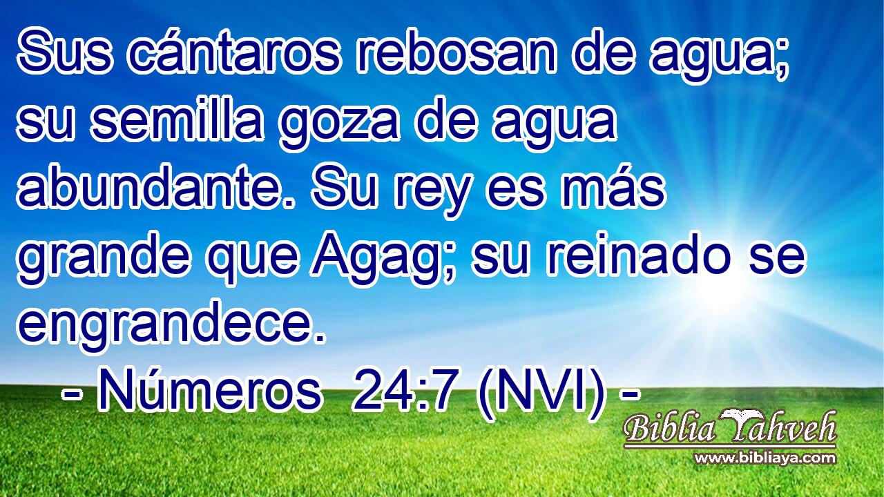 Sus cántaros rebosan de agua; su semilla goza de agua abundante. Su rey es más grande que Agag; su reinado se engrandece. 