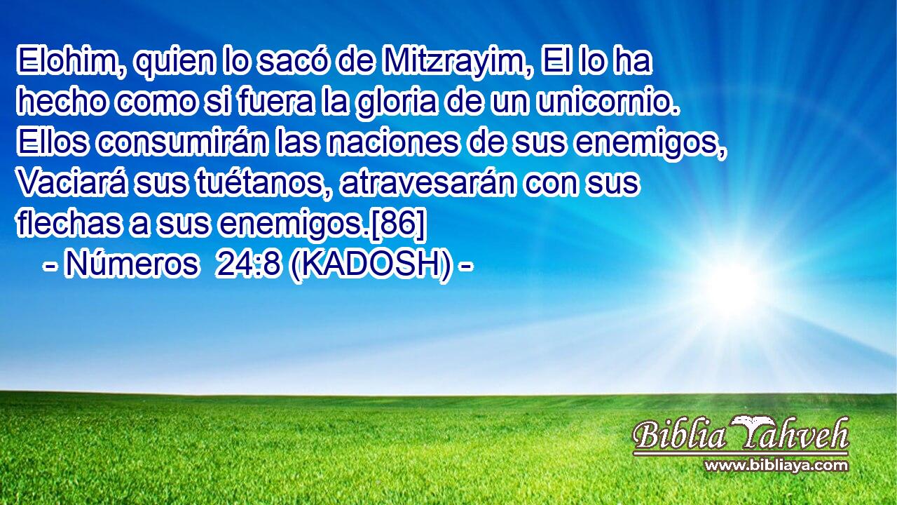  Elohim, quien lo sacó de Mitzrayim, El lo ha hecho como si fuera la gloria de un unicornio. Ellos consumirán las naciones de sus enemigos, Vaciará sus tuétanos, atravesarán con sus flechas a sus enemigos.[86] 