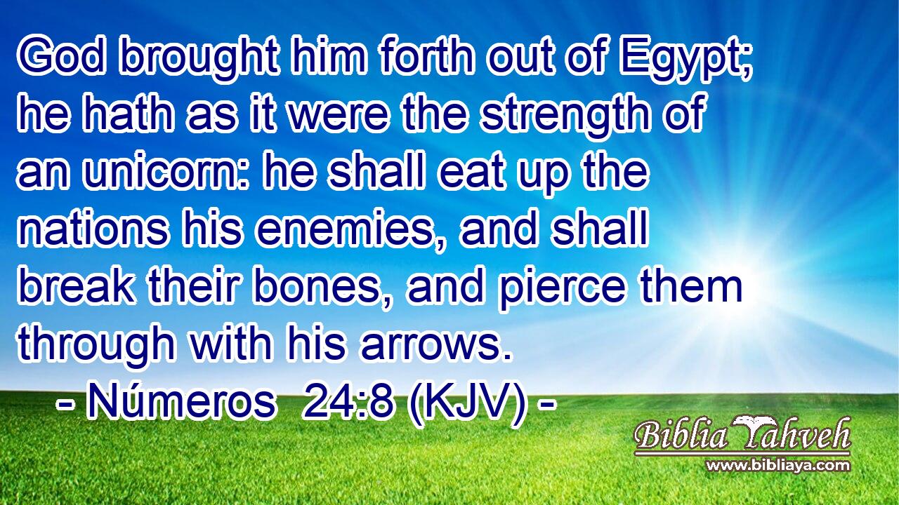 God brought him forth out of Egypt; he hath as it were the strength of an unicorn: he shall eat up the nations his enemies, and shall break their bones, and pierce them through with his arrows.