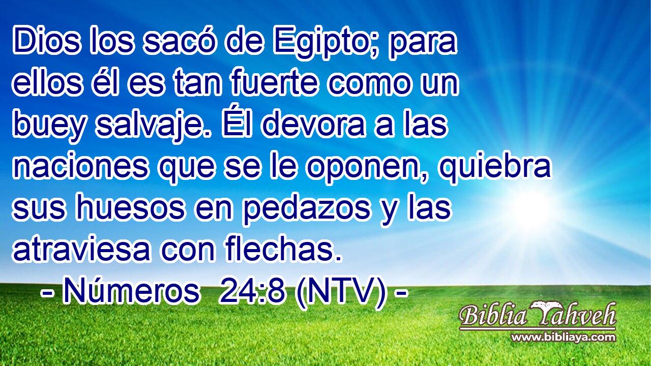 Dios los sacó de Egipto; para ellos él es tan fuerte como un buey salvaje. Él devora a las naciones que se le oponen, quiebra sus huesos en pedazos y las atraviesa con flechas.