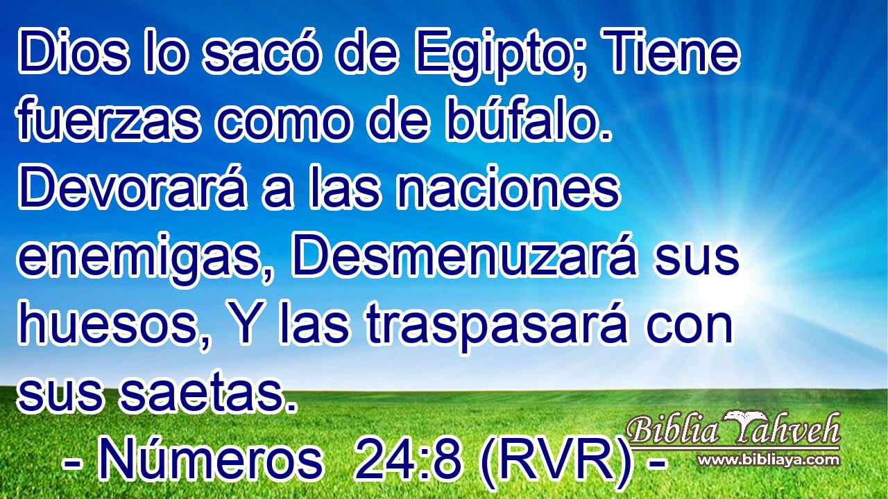 Dios lo sacó de Egipto; Tiene fuerzas como de búfalo. Devorará a las naciones enemigas, Desmenuzará sus huesos, Y las traspasará con sus saetas.