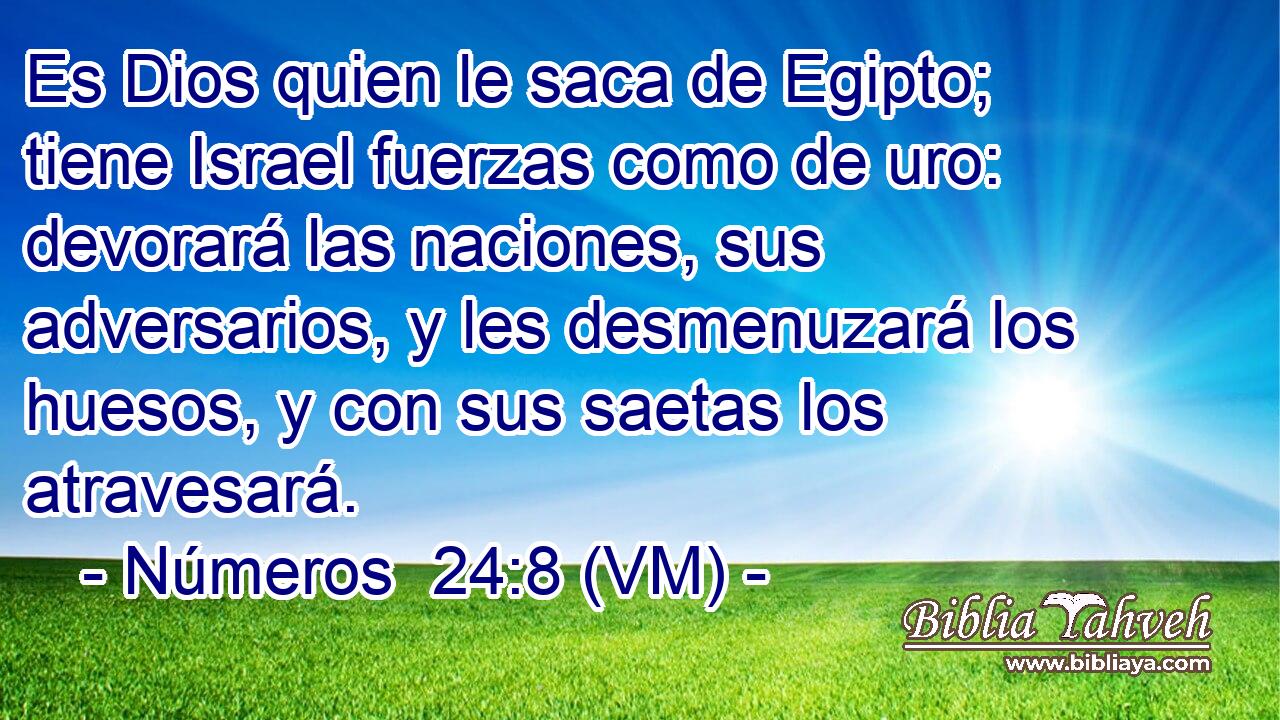  Es Dios quien le saca de Egipto; tiene Israel fuerzas como de uro: devorará las naciones, sus adversarios, y les desmenuzará los huesos, y con sus saetas los atravesará. 