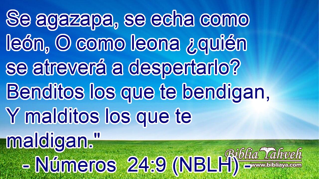 Se agazapa, se echa como león, O como leona ¿quién se atreverá a despertarlo? Benditos los que te bendigan, Y malditos los que te maldigan.