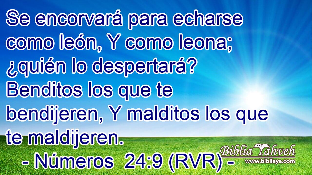 Se encorvará para echarse como león, Y como leona; ¿quién lo despertará? Benditos los que te bendijeren, Y malditos los que te maldijeren.