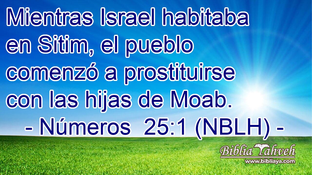  Mientras Israel habitaba en Sitim, el pueblo comenzó a prostituirse con las hijas de Moab. 
