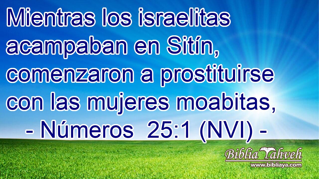  Mientras los israelitas acampaban en Sitín, comenzaron a prostituirse con las mujeres moabitas, 