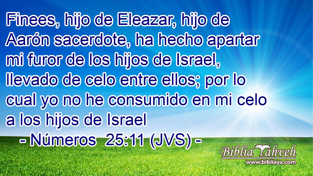 Finees, hijo de Eleazar, hijo de Aarón sacerdote, ha hecho apartar mi furor de los hijos de Israel, llevado de celo entre ellos; por lo cual yo no he consumido en mi celo a los hijos de Israel