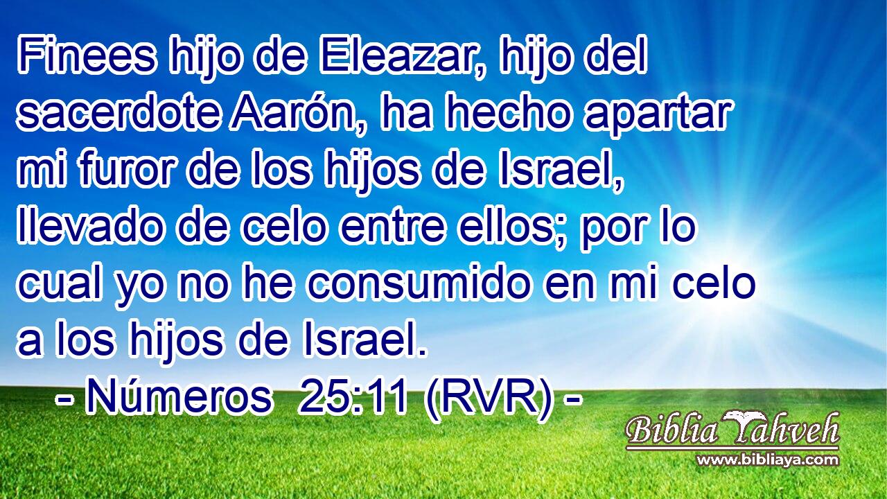 Finees hijo de Eleazar, hijo del sacerdote Aarón, ha hecho apartar mi furor de los hijos de Israel, llevado de celo entre ellos; por lo cual yo no he consumido en mi celo a los hijos de Israel.