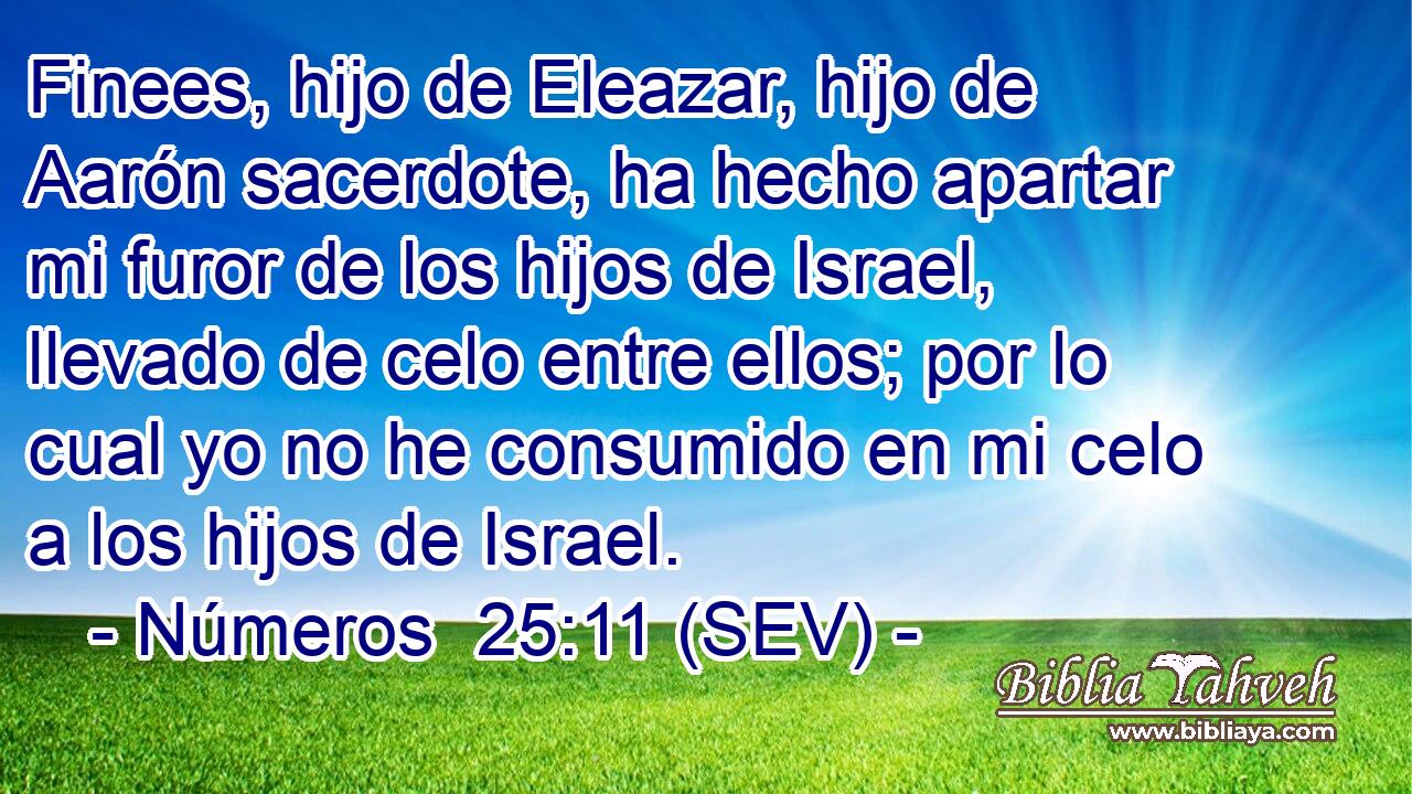 Finees, hijo de Eleazar, hijo de Aarón sacerdote, ha hecho apartar mi furor de los hijos de Israel, llevado de celo entre ellos; por lo cual yo no he consumido en mi celo a los hijos de Israel.