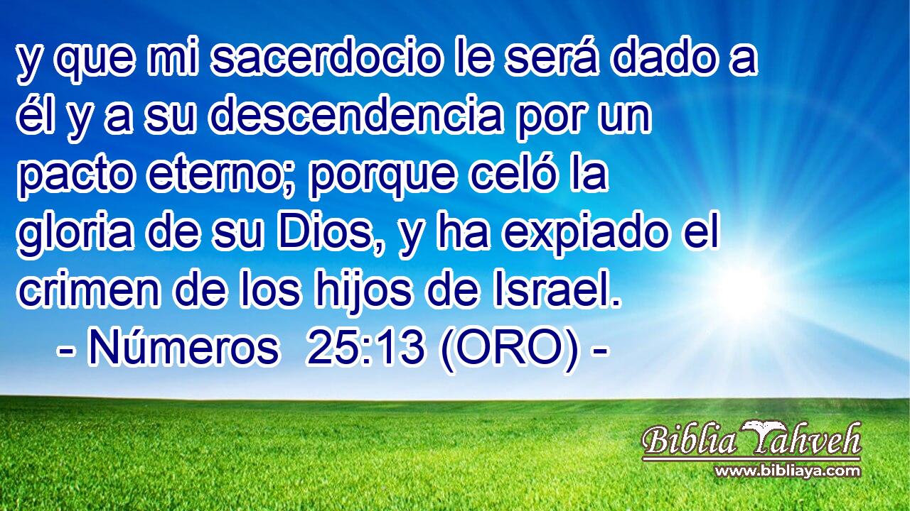  y que mi sacerdocio le será dado a él y a su descendencia por un pacto eterno; porque celó la gloria de su Dios, y ha expiado el crimen de los hijos de Israel. 