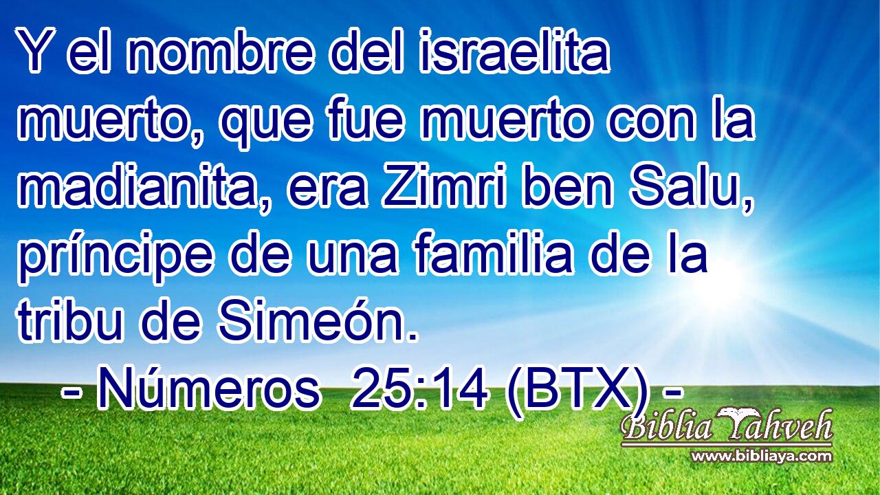 Y el nombre del israelita muerto, que fue muerto con la madianita, era Zimri ben Salu, príncipe de una familia de la tribu de Simeón.