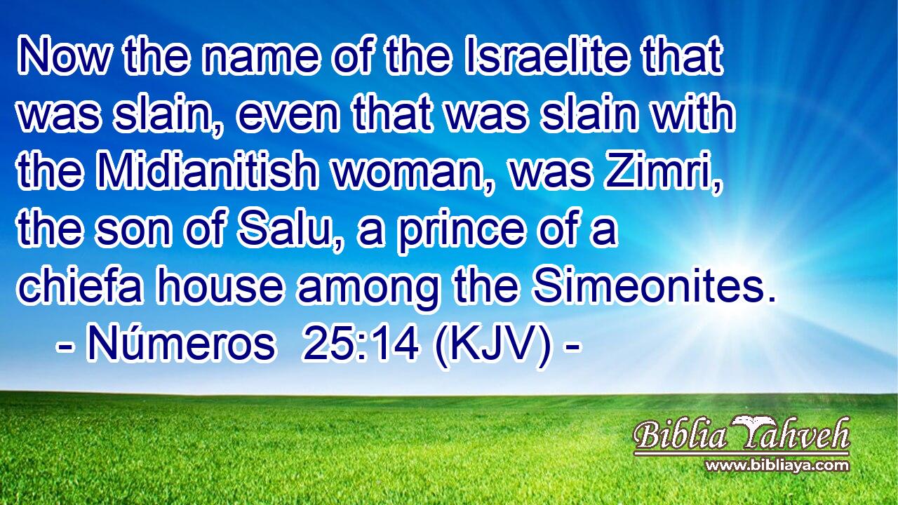 Now the name of the Israelite that was slain, even that was slain with the Midianitish woman, was Zimri, the son of Salu, a prince of a chiefa house among the Simeonites.