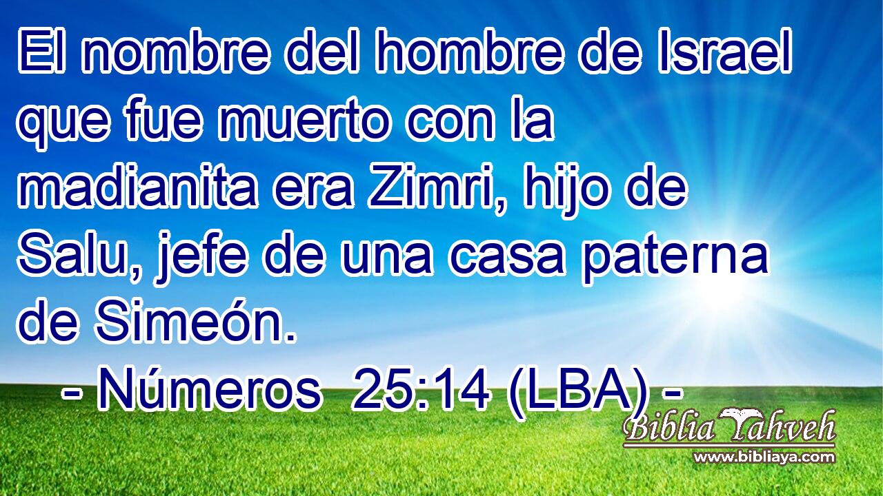 El nombre del hombre de Israel que fue muerto con la madianita era Zimri, hijo de Salu, jefe de una casa paterna de Simeón.