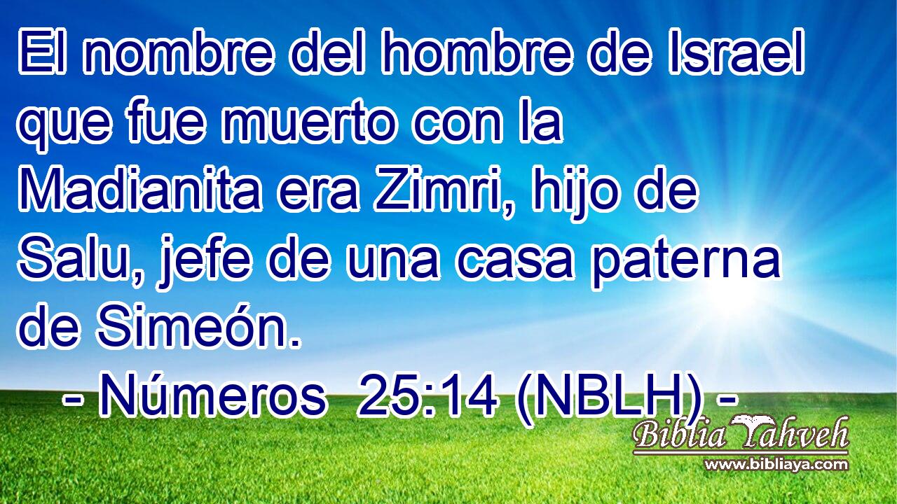  El nombre del hombre de Israel que fue muerto con la Madianita era Zimri, hijo de Salu, jefe de una casa paterna de Simeón. 