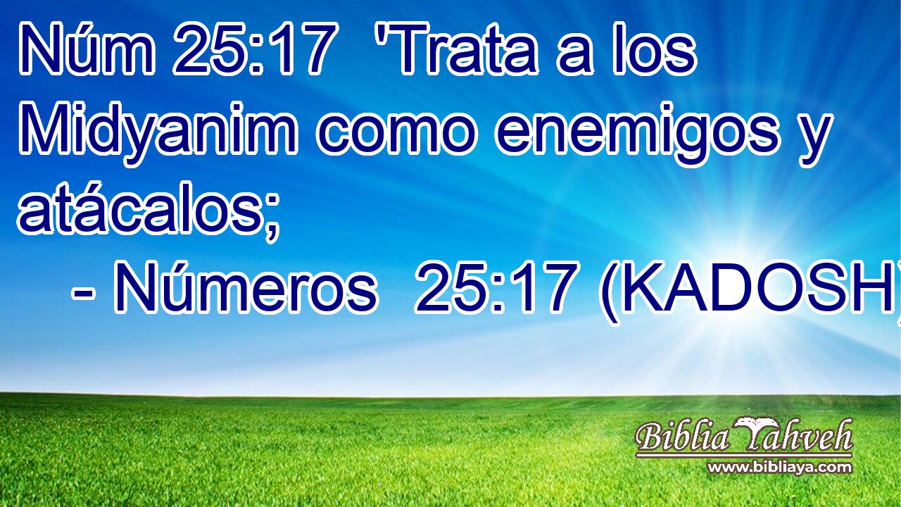  'Trata a los Midyanim como enemigos y atácalos; 