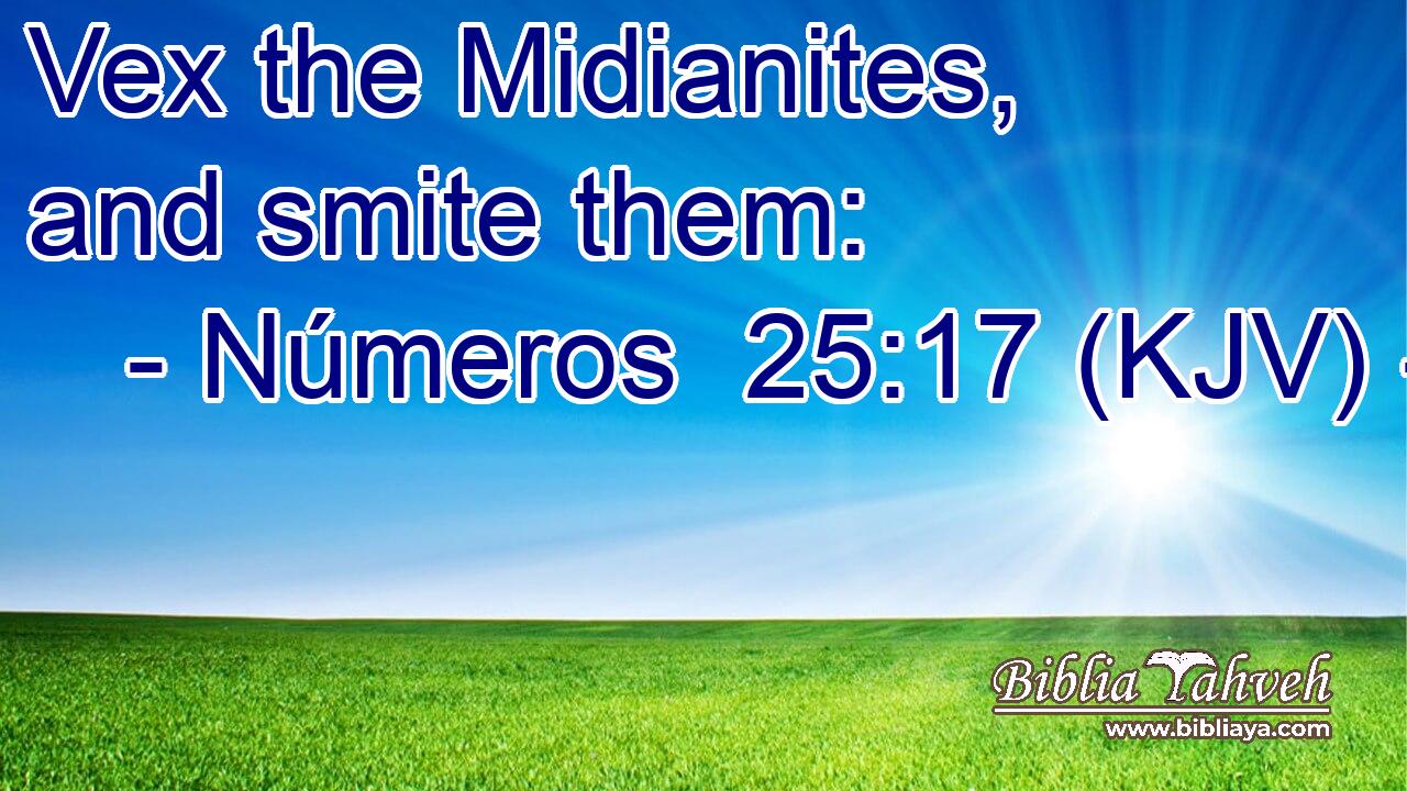 Vex the Midianites, and smite them: