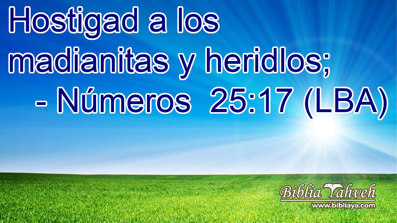 Hostigad a los madianitas y heridlos;