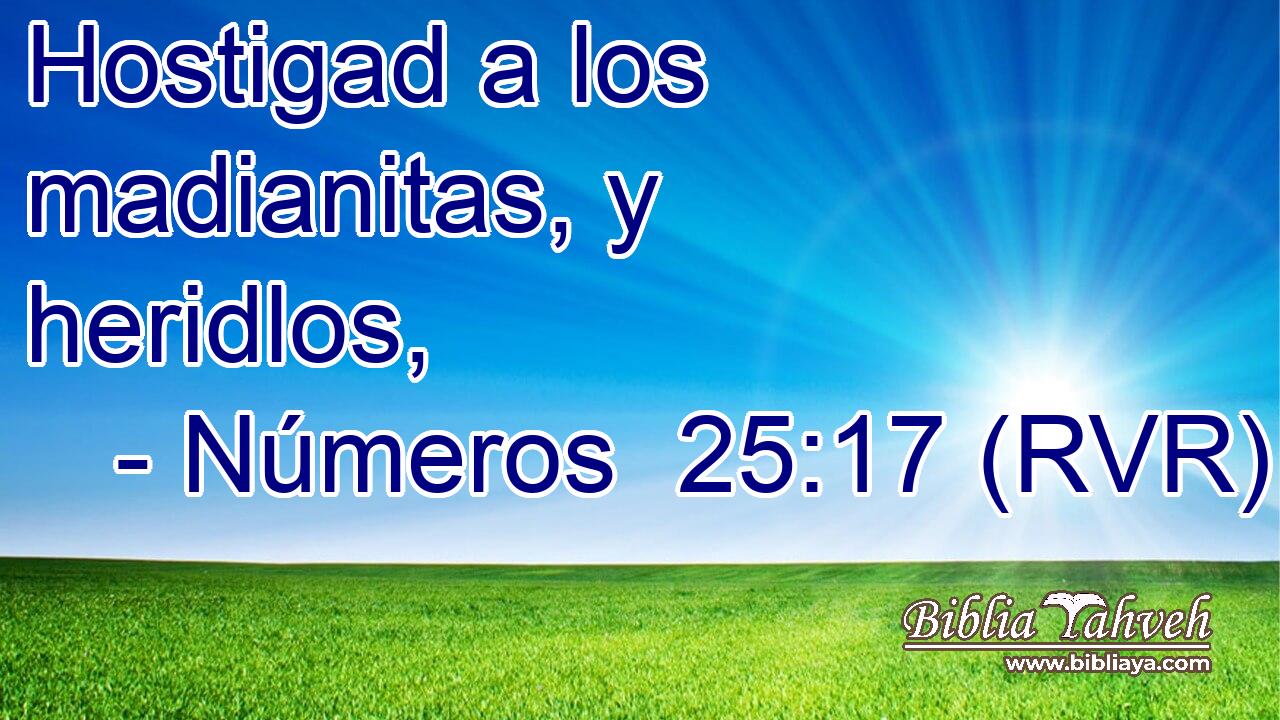 Hostigad a los madianitas, y heridlos,
