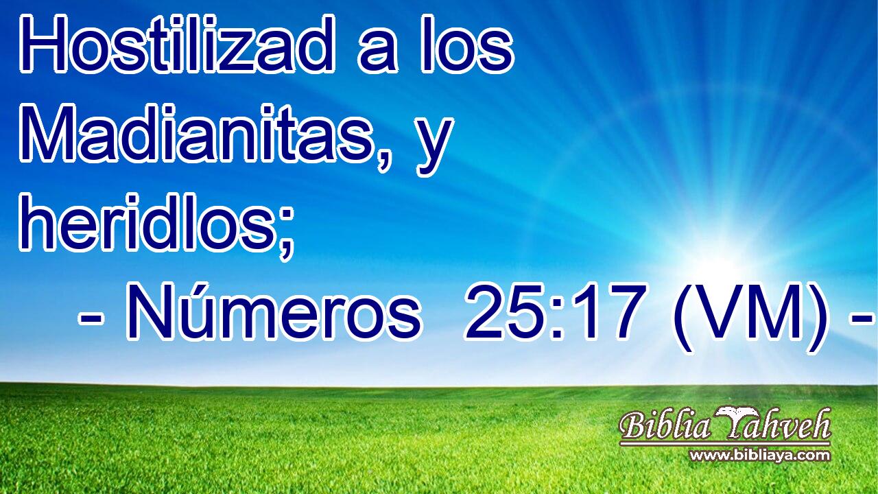  Hostilizad a los Madianitas, y heridlos; 