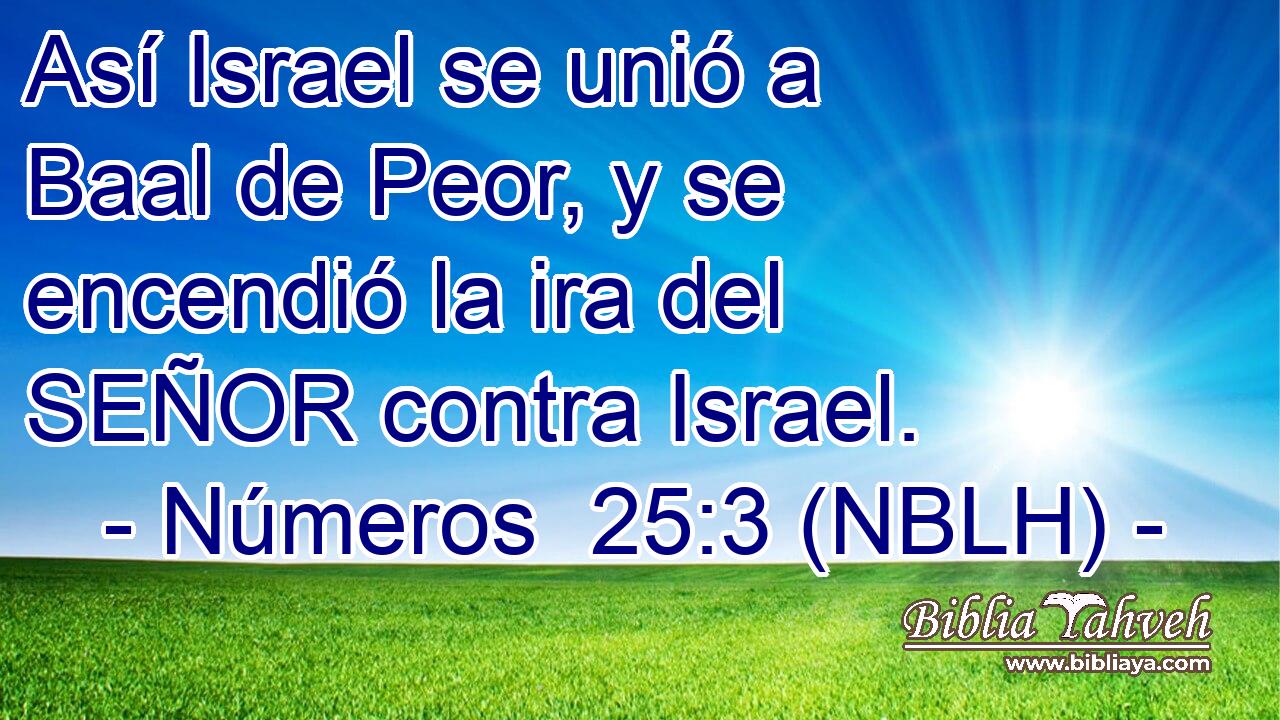 Así Israel se unió a Baal de Peor, y se encendió la ira del SEÑOR contra Israel. 