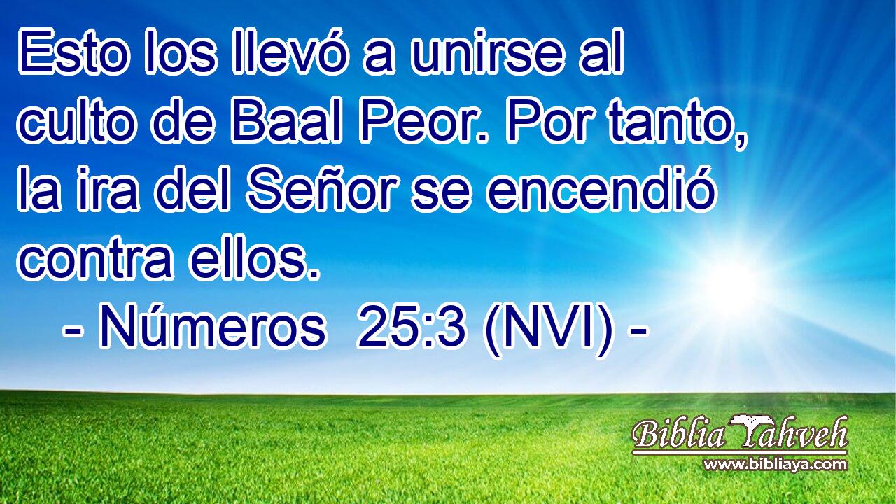  Esto los llevó a unirse al culto de Baal Peor. Por tanto, la ira del Señor se encendió contra ellos. 