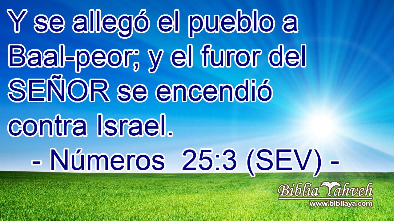 Y se allegó el pueblo a Baal-peor; y el furor del SEÑOR se encendió contra Israel.