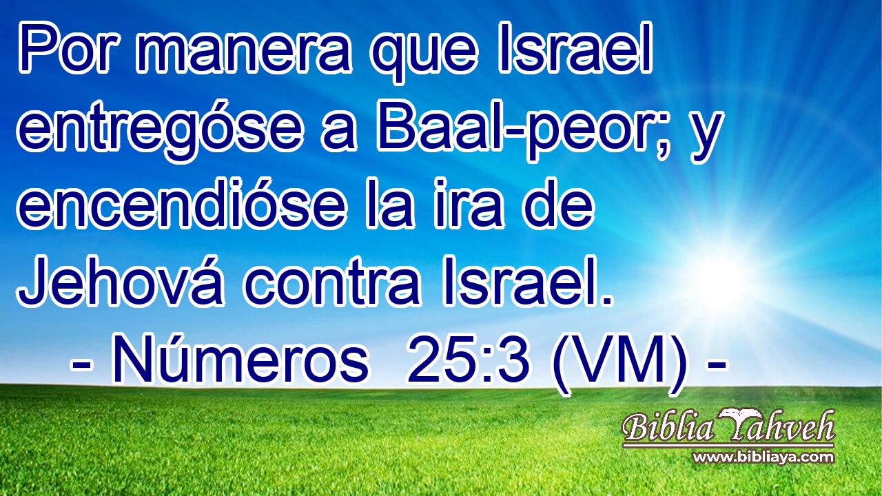  Por manera que Israel entregóse a Baal-peor; y encendióse la ira de Jehová contra Israel. 