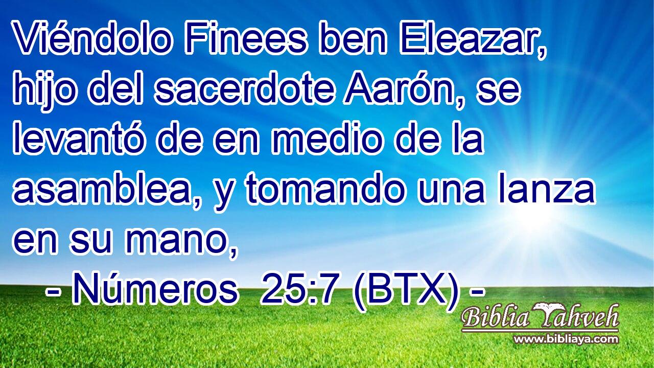 Viéndolo Finees ben Eleazar, hijo del sacerdote Aarón, se levantó de en medio de la asamblea, y tomando una lanza en su mano,