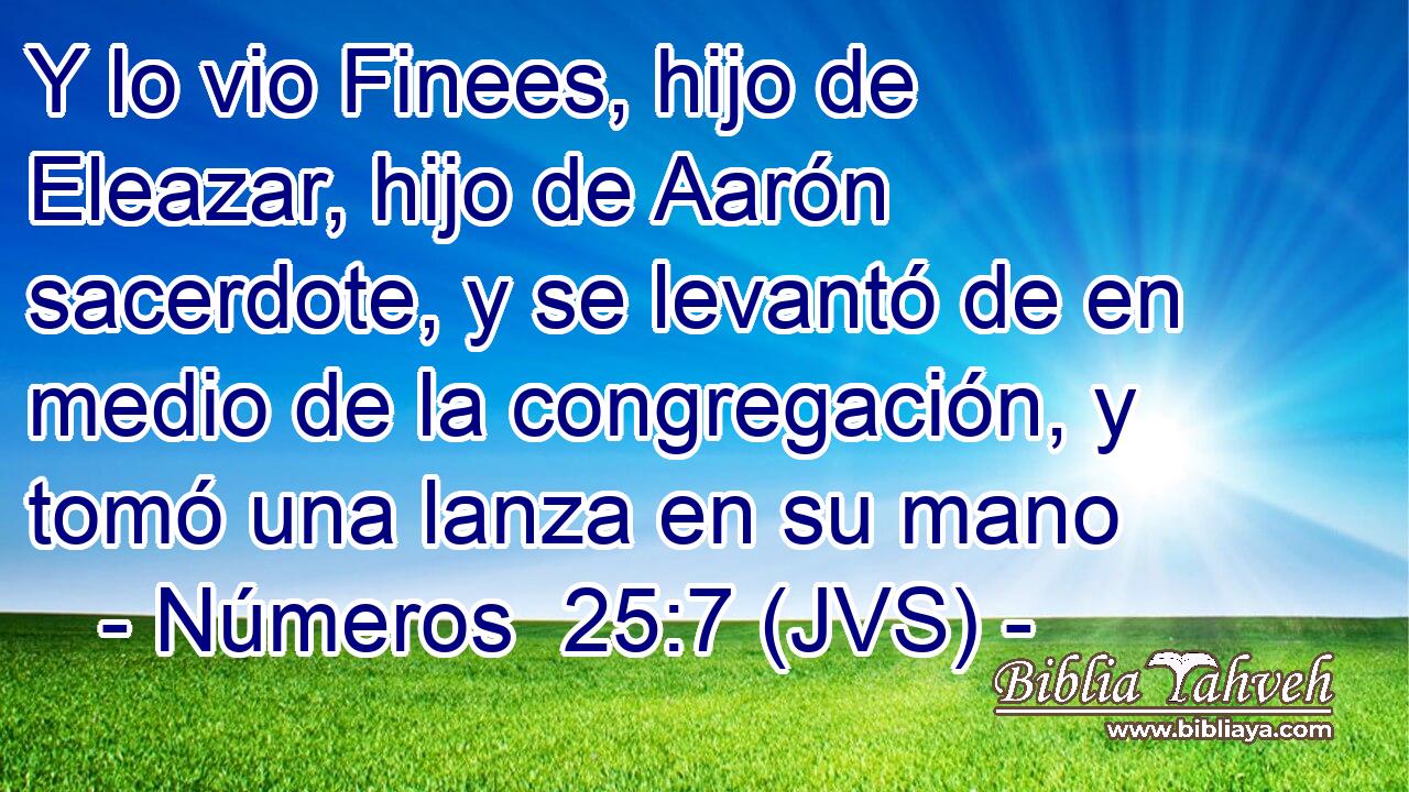 Y lo vio Finees, hijo de Eleazar, hijo de Aarón sacerdote, y se levantó de en medio de la congregación, y tomó una lanza en su mano