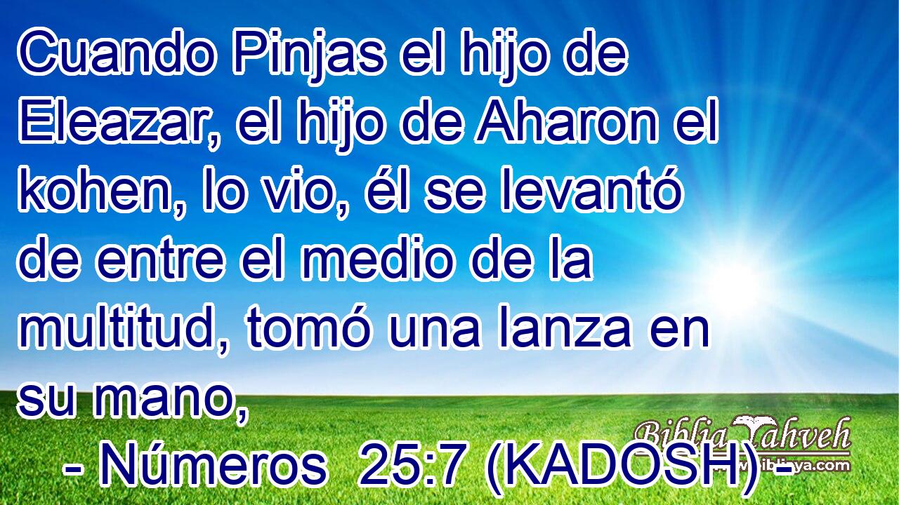  Cuando Pinjas el hijo de Eleazar, el hijo de Aharon el kohen, lo vio, él se levantó de entre el medio de la multitud, tomó una lanza en su mano, 