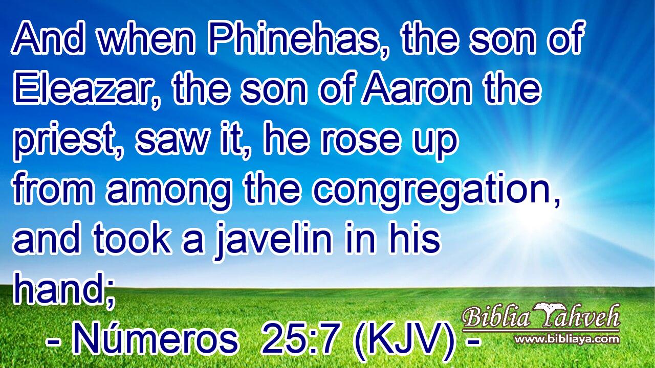 And when Phinehas, the son of Eleazar, the son of Aaron the priest, saw it, he rose up from among the congregation, and took a javelin in his hand;