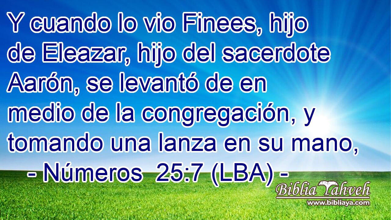 Y cuando lo vio Finees, hijo de Eleazar, hijo del sacerdote Aarón, se levantó de en medio de la congregación, y tomando una lanza en su mano,