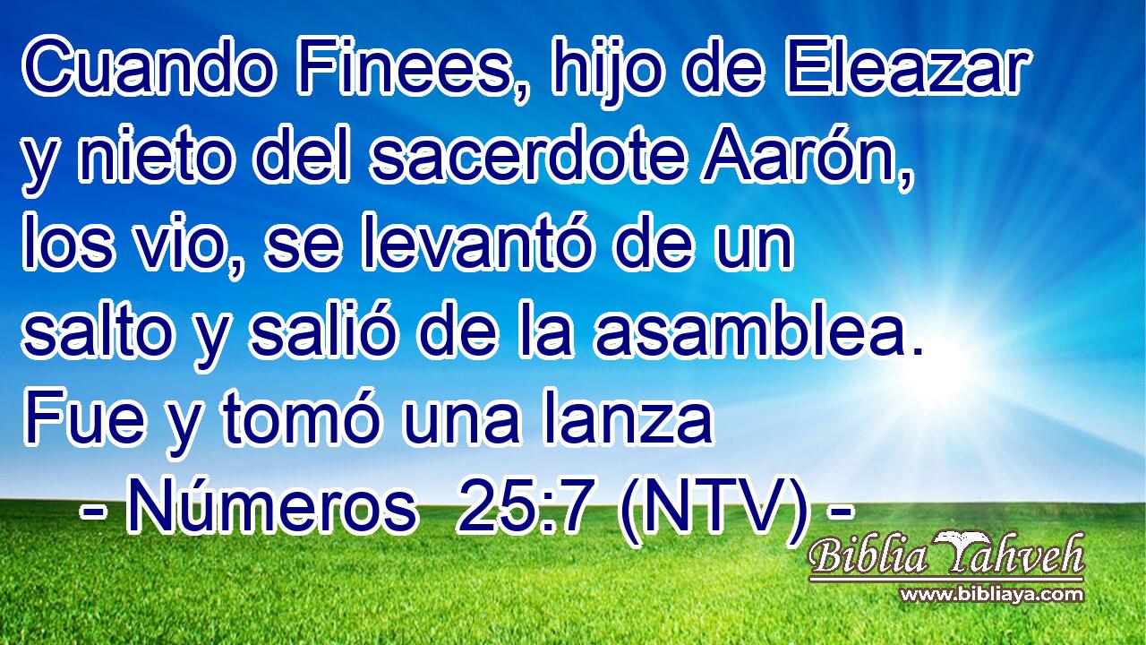 Cuando Finees, hijo de Eleazar y nieto del sacerdote Aarón, los vio, se levantó de un salto y salió de la asamblea. Fue y tomó una lanza