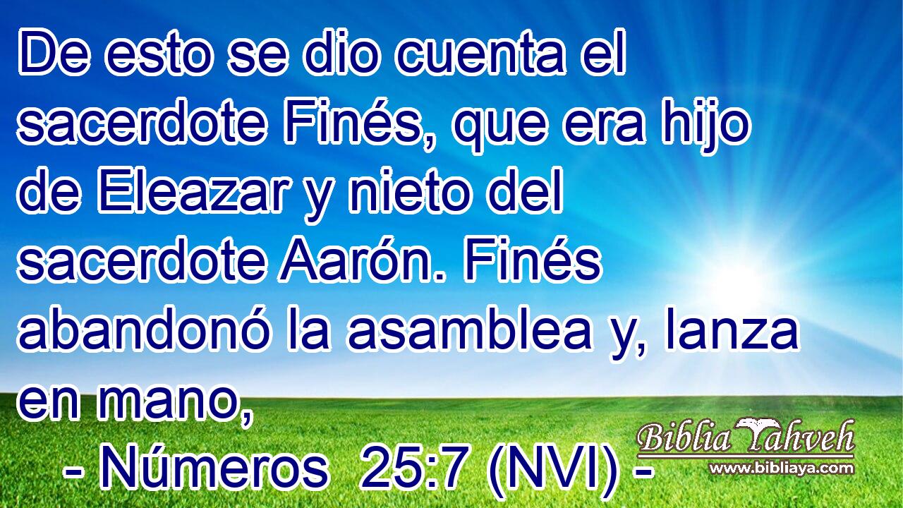  De esto se dio cuenta el sacerdote Finés, que era hijo de Eleazar y nieto del sacerdote Aarón. Finés abandonó la asamblea y, lanza en mano, 