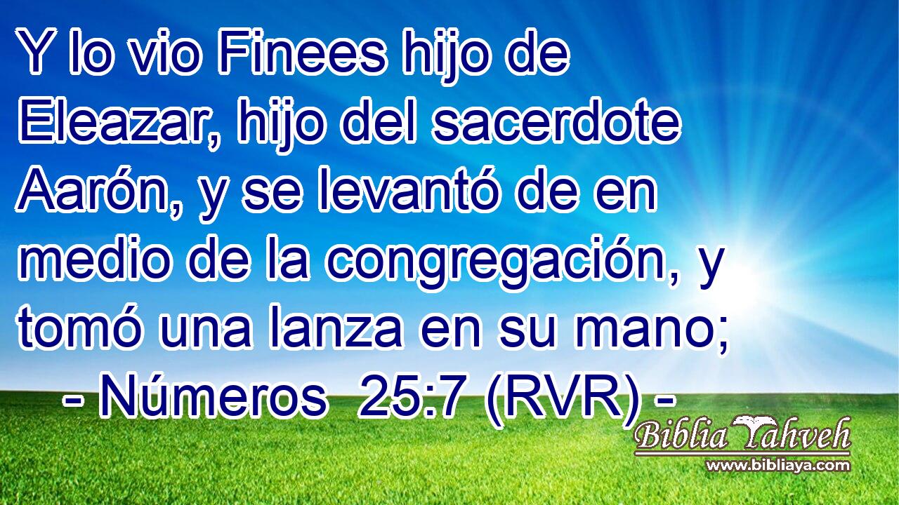 Y lo vio Finees hijo de Eleazar, hijo del sacerdote Aarón, y se levantó de en medio de la congregación, y tomó una lanza en su mano;