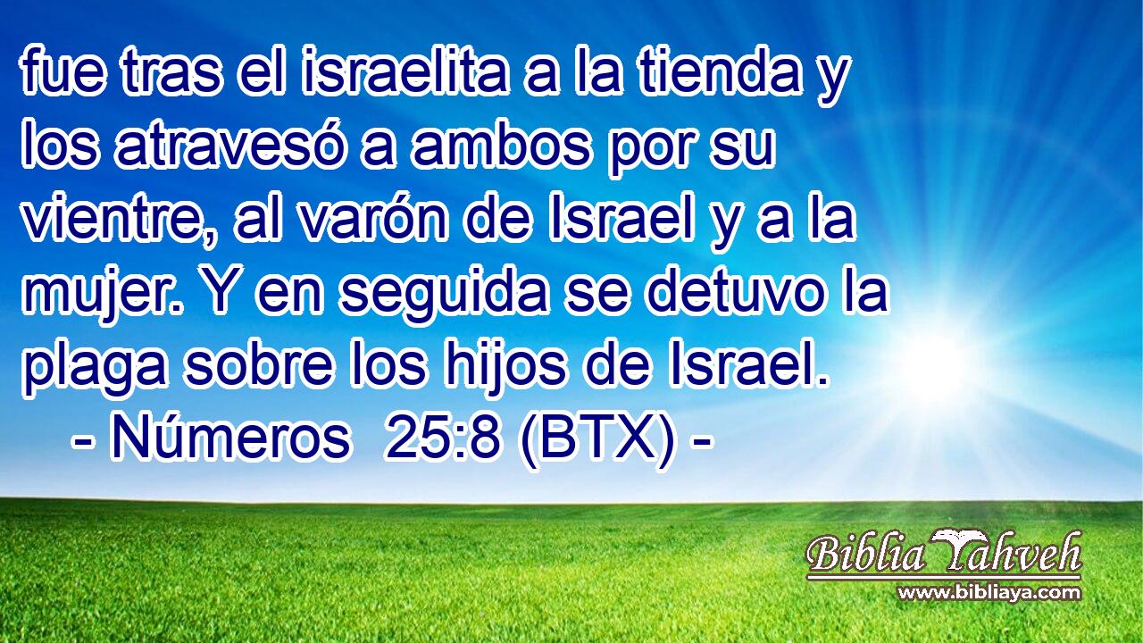 fue tras el israelita a la tienda y los atravesó a ambos por su vientre, al varón de Israel y a la mujer. Y en seguida se detuvo la plaga sobre los hijos de Israel.