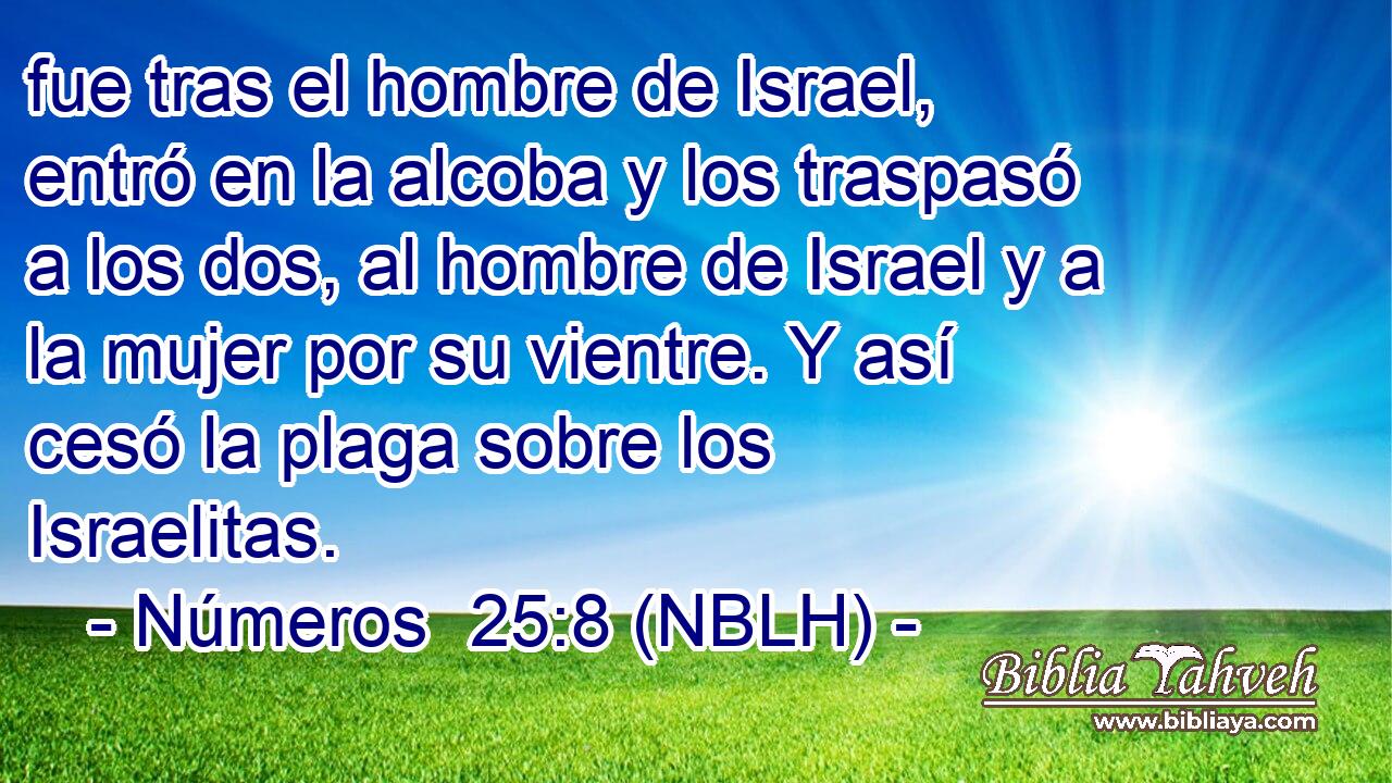  fue tras el hombre de Israel, entró en la alcoba y los traspasó a los dos, al hombre de Israel y a la mujer por su vientre. Y así cesó la plaga sobre los Israelitas. 