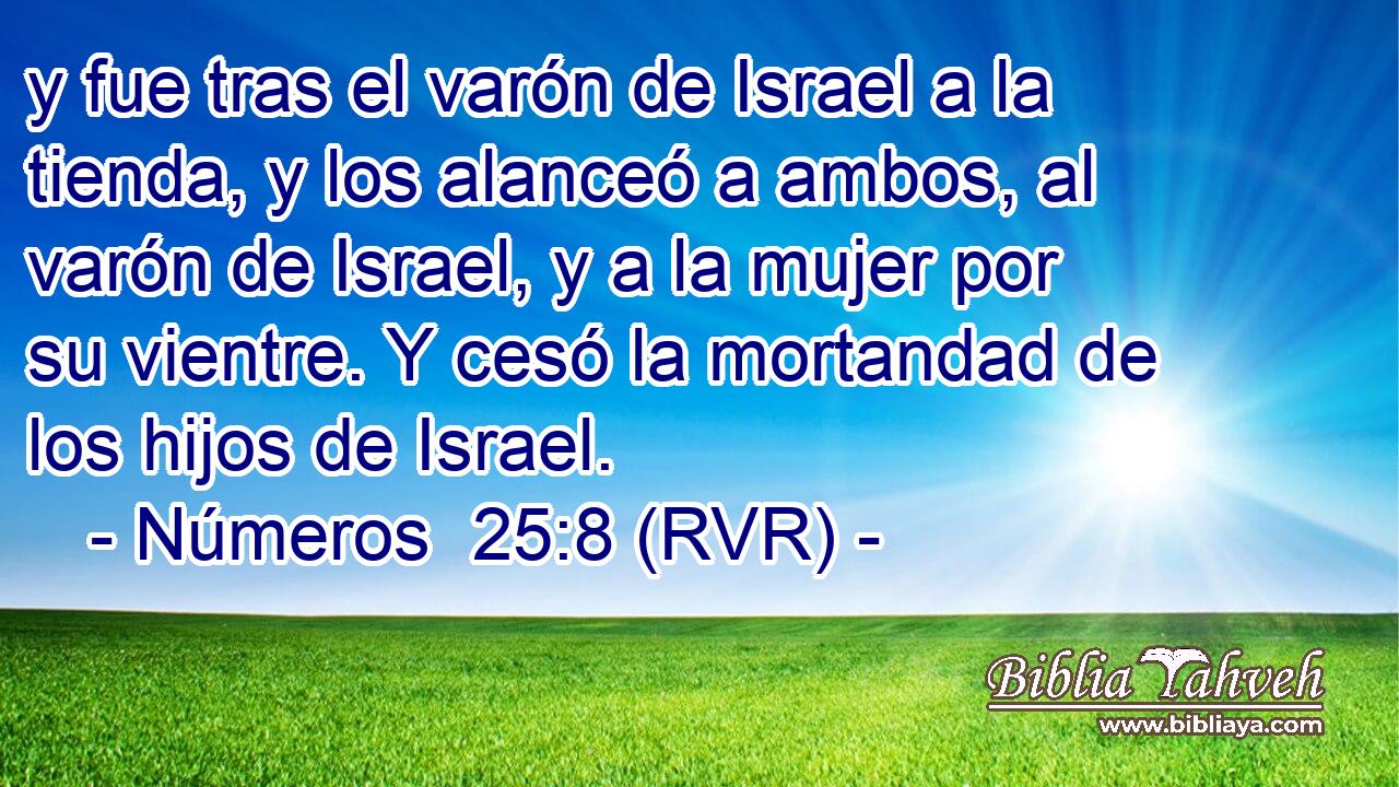 y fue tras el varón de Israel a la tienda, y los alanceó a ambos, al varón de Israel, y a la mujer por su vientre. Y cesó la mortandad de los hijos de Israel.