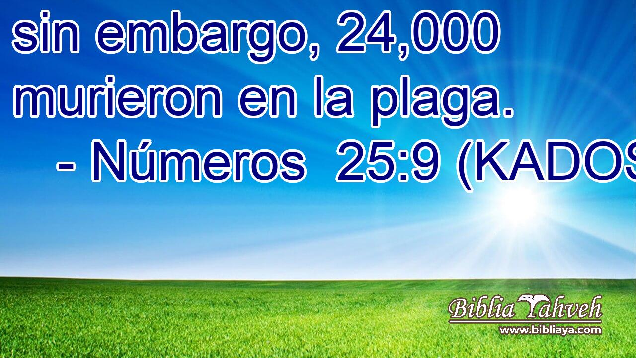  sin embargo, 24,000 murieron en la plaga. 